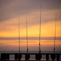 морски риболов - 63040 възможности